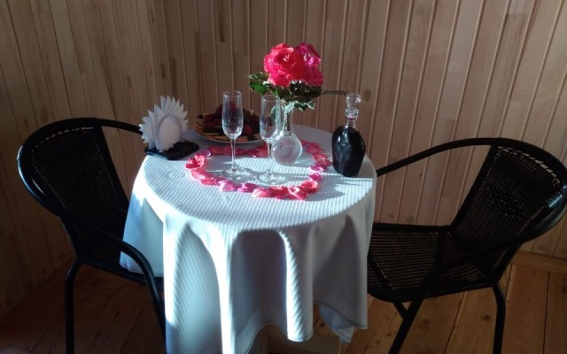 Dinozavriki Guest House