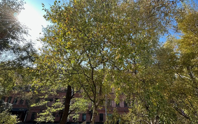 Квартира 2-х Комнатные Апартаменты в центре Владивостока