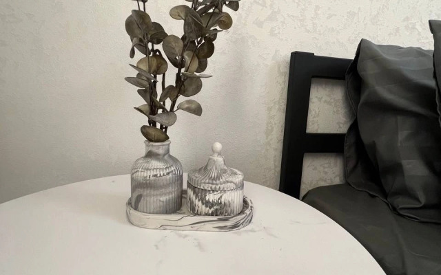 Квартира Алейная 19