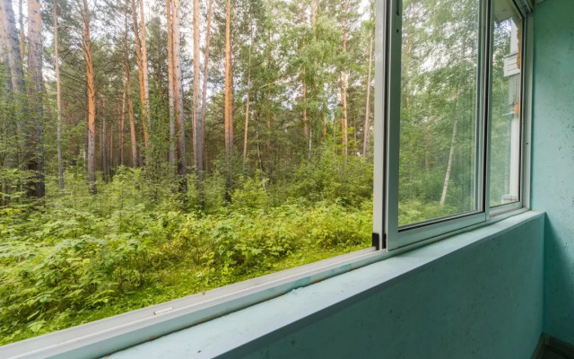 Odnokomnatnyye Vozdushnaya gavan 4 Apartments