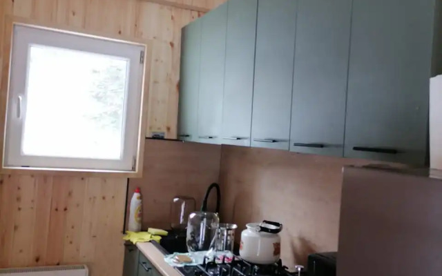 Шале Лес хрустальной песни 1