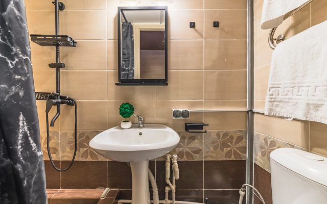 Апартаменты Plaum Hotel Студия 5 на Коломенской