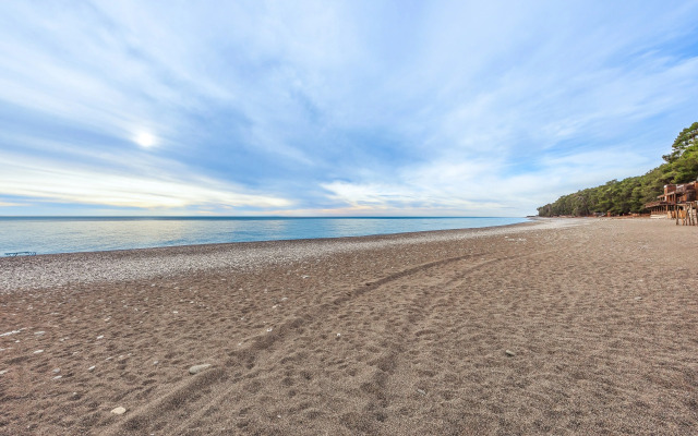 Hotel Eco House Pitiunt Resort