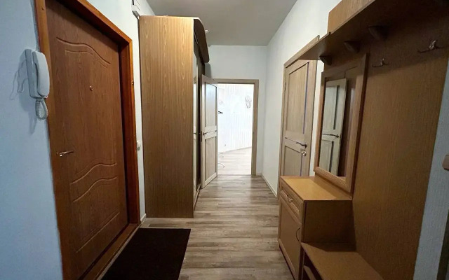 Dachny 2/1 Apartments