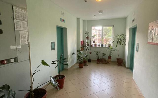 Апартаменты на Пасечной 7