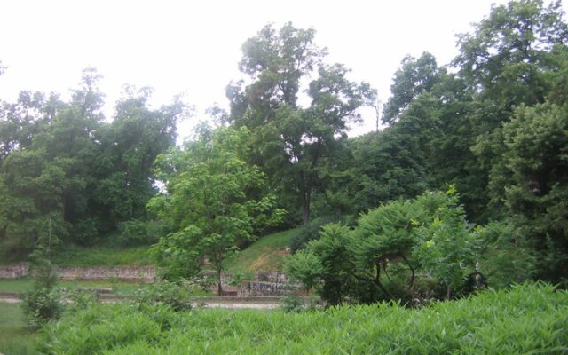 Chinar Hotel