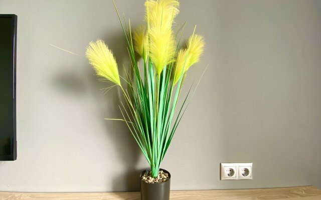 Апартаменты 224 (Воскресенская 59, 19 этаж)