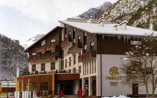 Отель Forrest Terrace