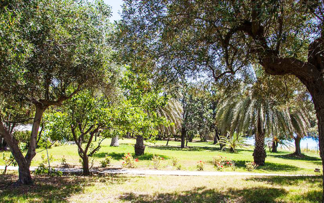 Malt BeachFront Villa