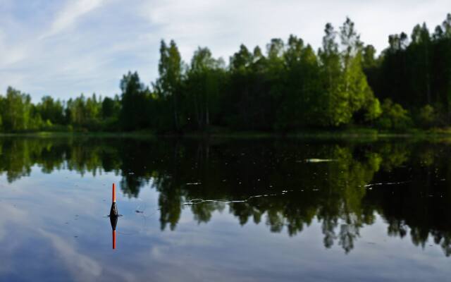 Семейный отель Лесной берег