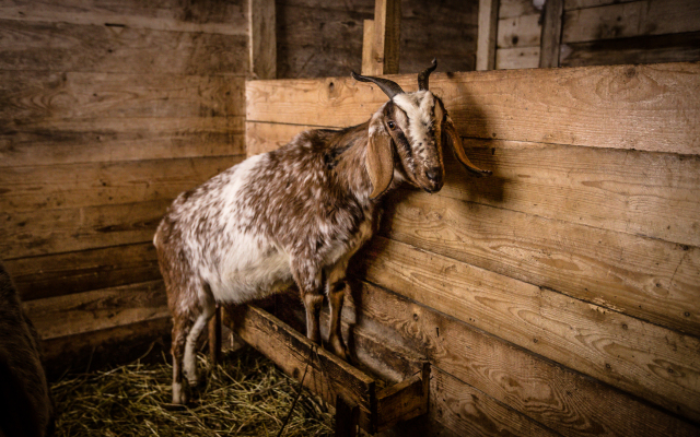 Agroturisticheskij Kompleks El Rancho Hotel