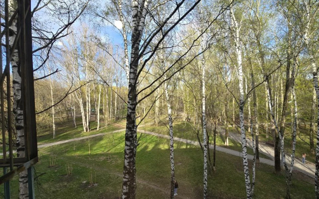 Komfortabelnaya Yevrostudiya v Tsentralnom Rayone Flat