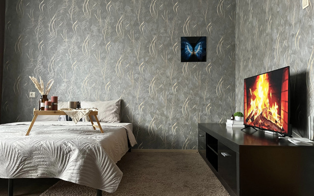 Квартира Просторная около Планеты