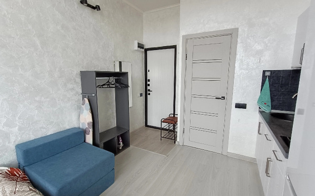 Studiya na prospekte Lenina Apartments