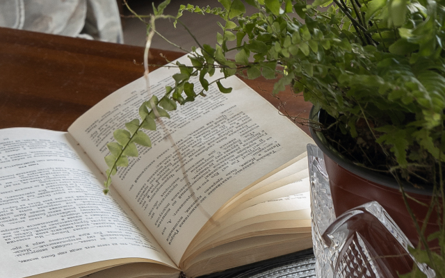 Квартира на Космодемьянских