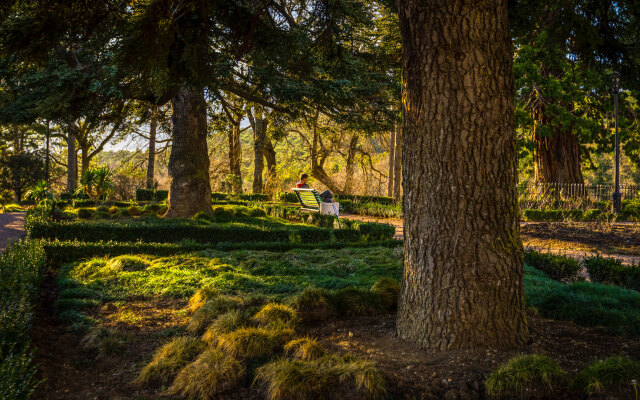 Ялта-Интурист Green Park