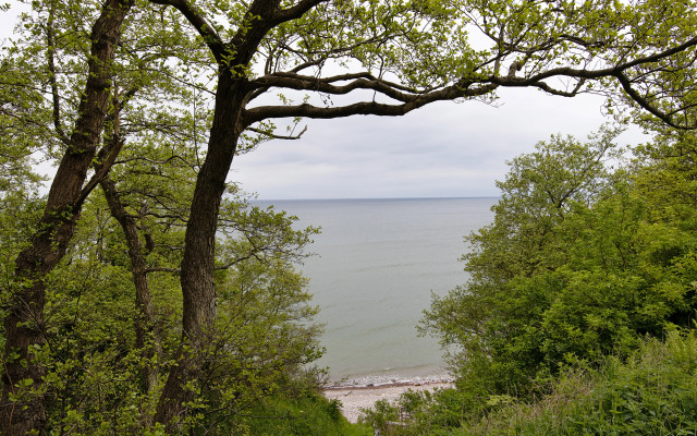 Квартира Уютная в 200м от Балтийского Моря