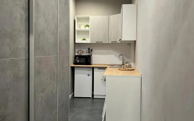 Апартаменты Stepanenkov на Воеводина 4 (3)