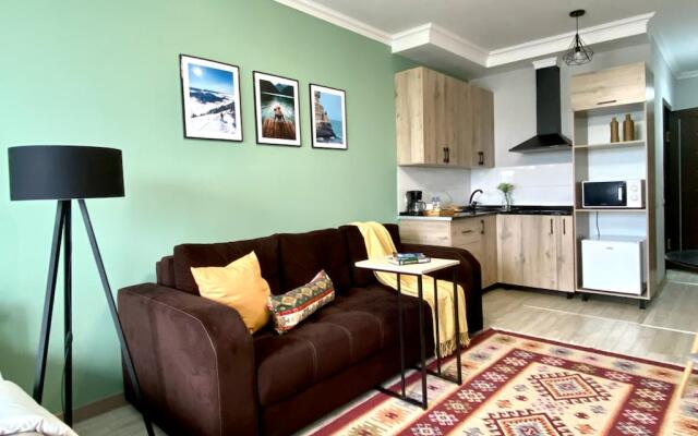 Апартаменты Студия Көктем с шикарным видом на город