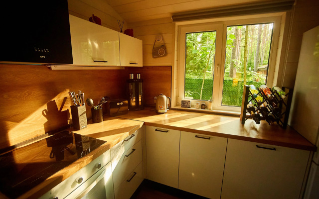 Repinskaya Dacha na Opushke Krasivogo Lesa Private House