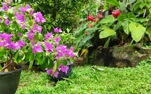 Villa 51 - First Floor Villa