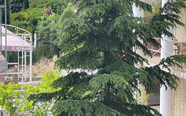 Гостевой дом 1000 Звёзд #2