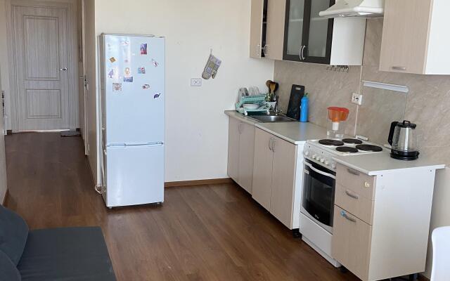Dvukhkomnatnaya Na Privokzalnoy Ploschadi flat