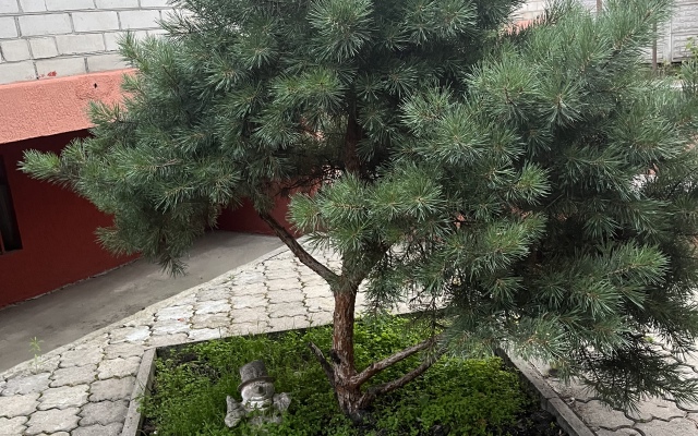 S Basseynom, Saunoy  i Kaminom Private House