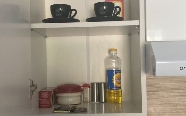 Апартаменты Сомалира на Васильевском