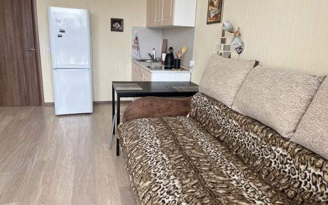 Апартаменты Рядом с Метро Академическая