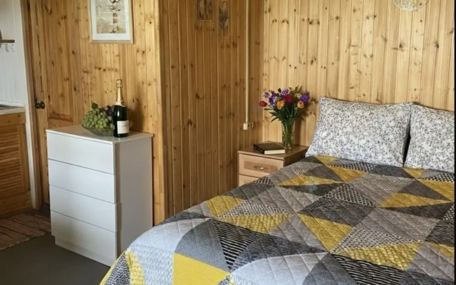 Частный дом на Пограничном переулке 3А (2)