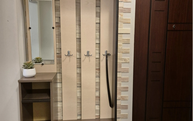 Kvartira-studiya s krasivym vidom na Amur Flat