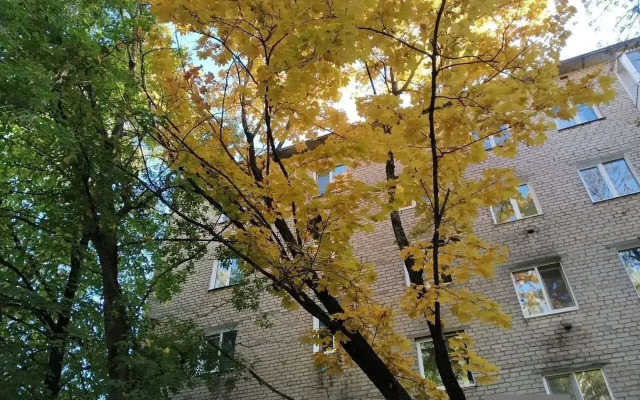 Na Ulitse Normandiya-Neman 1 Flat