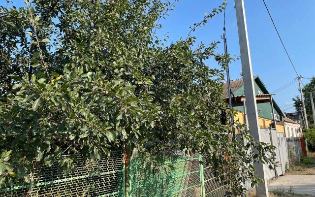 Апартаменты Белинского