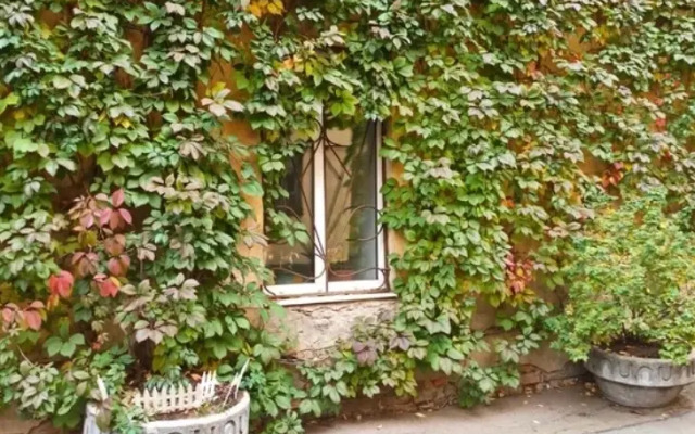 Гостевой дом SPBINN Amigo