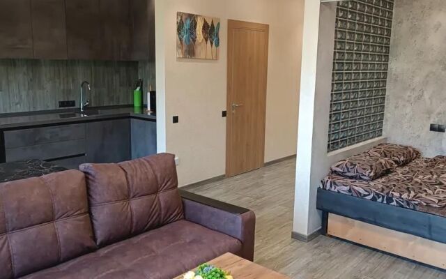 S Vidom Na Gory Studio Flat