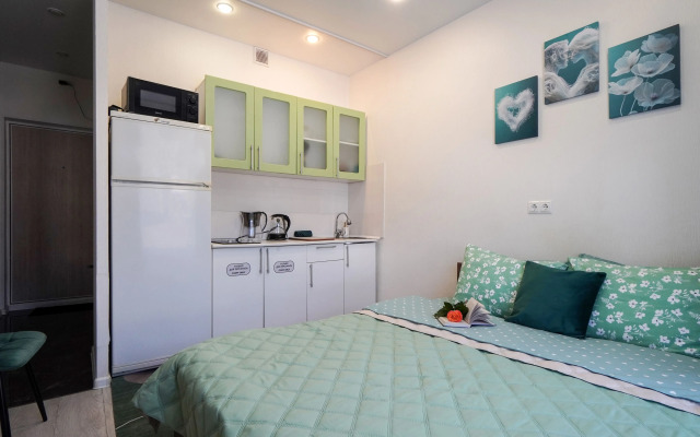 Апартаменты Уютная Студия Возле Жд Станции Звенигород