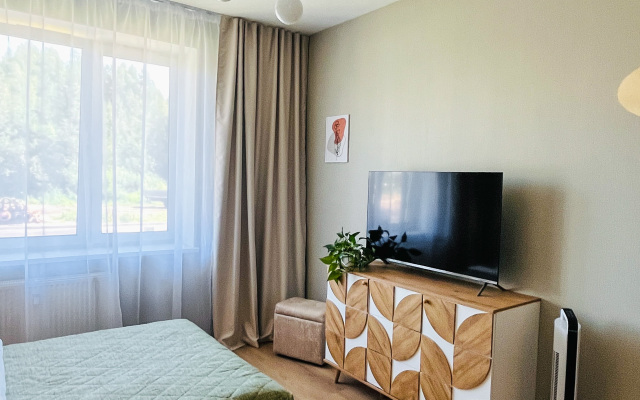 Uyutnaya Studiya V Pesochnom Flat