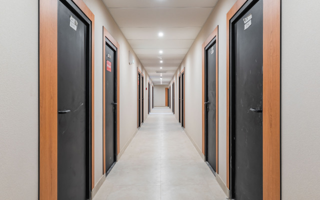 RentalSPb  Apartments
