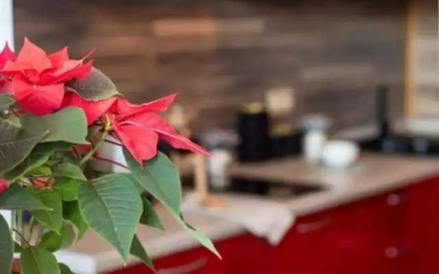 Na Ulitse Kominterna 91 Korpus 1 Flat