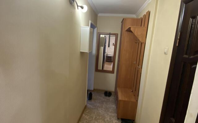Uyutnaya Odnushka Na Prospekte Lenina Apartments