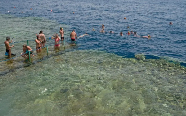 Курортный Отель Dreams Beach Sharm el Sheikh Travel