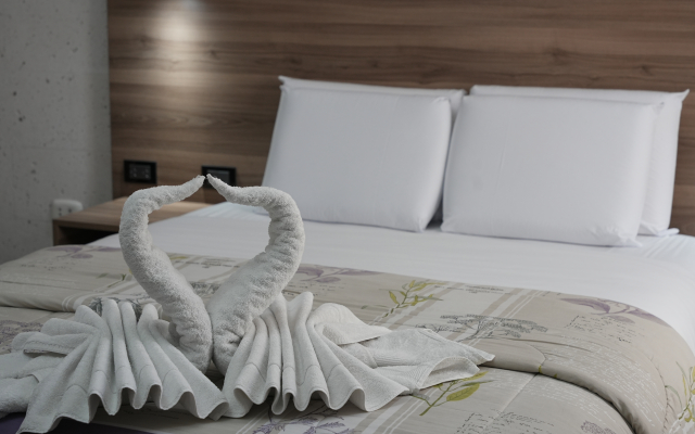 Отель Hoteles Gutiérrez Mansión