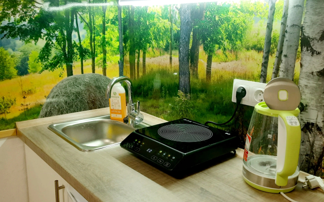 Апартаменты в белорусском стиле Полесье