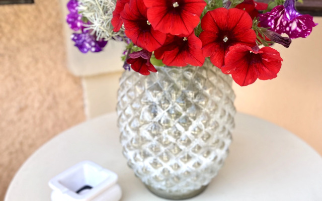 Bed&Breakfast Boutique B&B Barocchetto Romano Ostia Lido