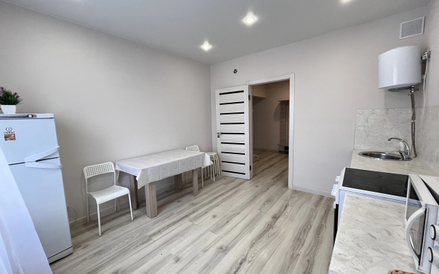 New large one-bedroom apartment on Sovetov Square