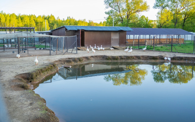 Отель Комплекc Загородного отдыха  Место 7