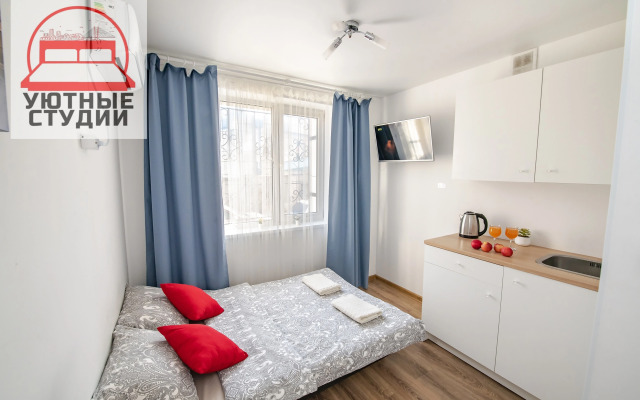 Квартира-студия 1 на Некрасовской