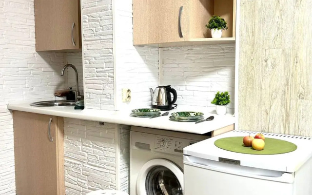 Квартира Студия 100 метров от метро