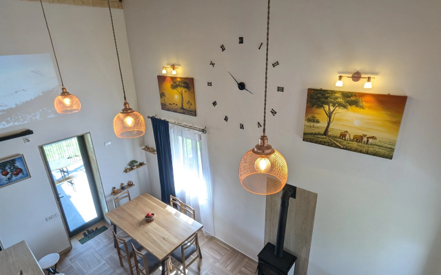 Частный дом озле реки